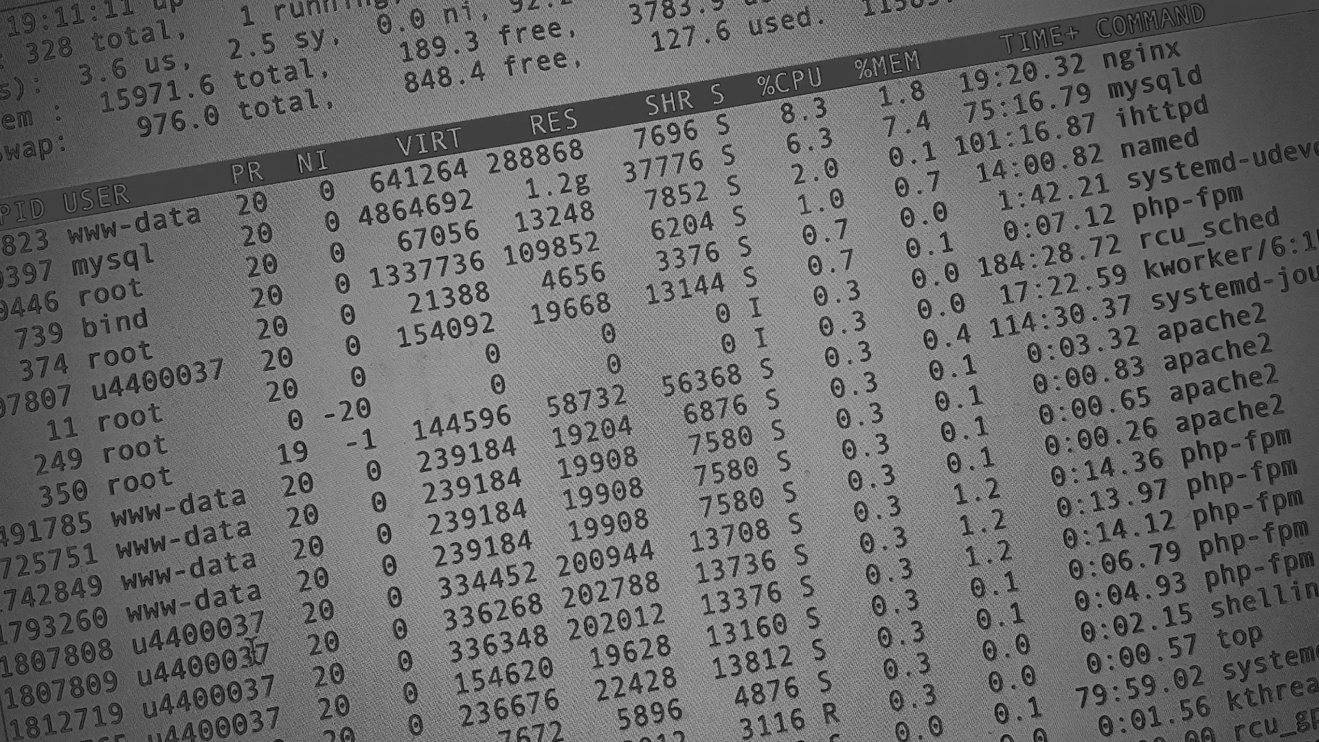 Настройка сервера в Кисловодске