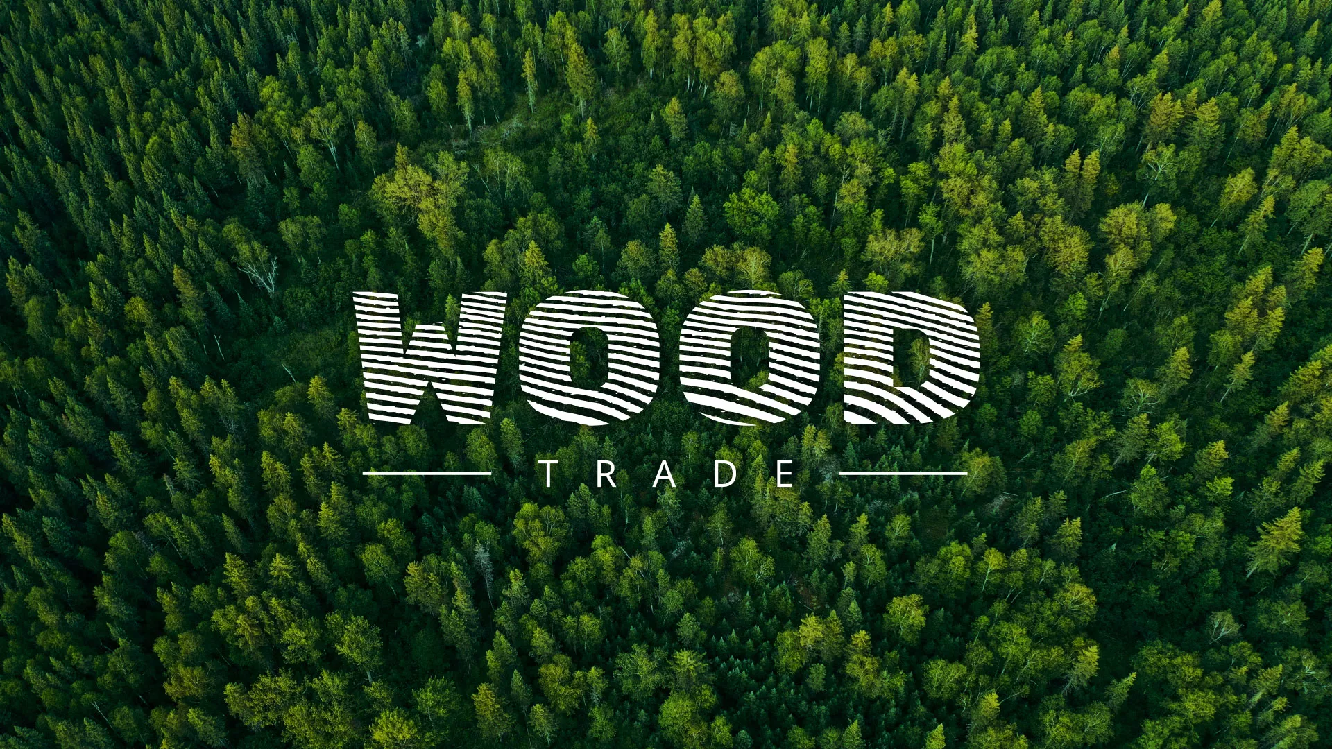 Разработка интернет-магазина компании «Wood Trade» в Кисловодске